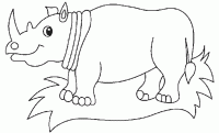  coloriage rhinoceros-3