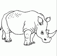  dessin à colorier rhinoceros-8