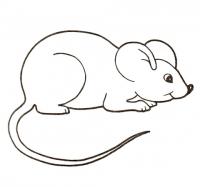  dessin à imprimer souris-7