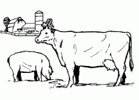  dessin à colorier vache-12