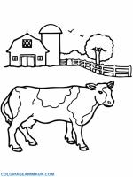  dessin à colorier vache-13