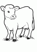  coloriage à dessiner vache-17