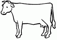  dessin dessin vache-4