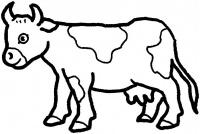  coloriage à dessiner vache-6