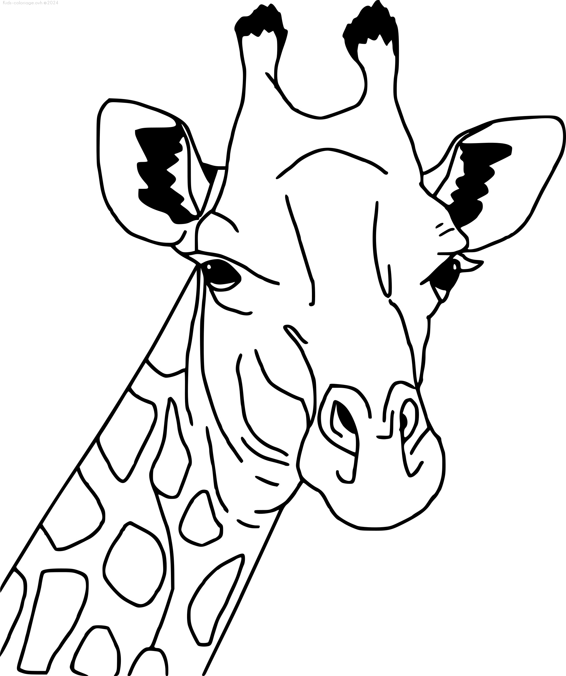 Рисунок раскраска жираф