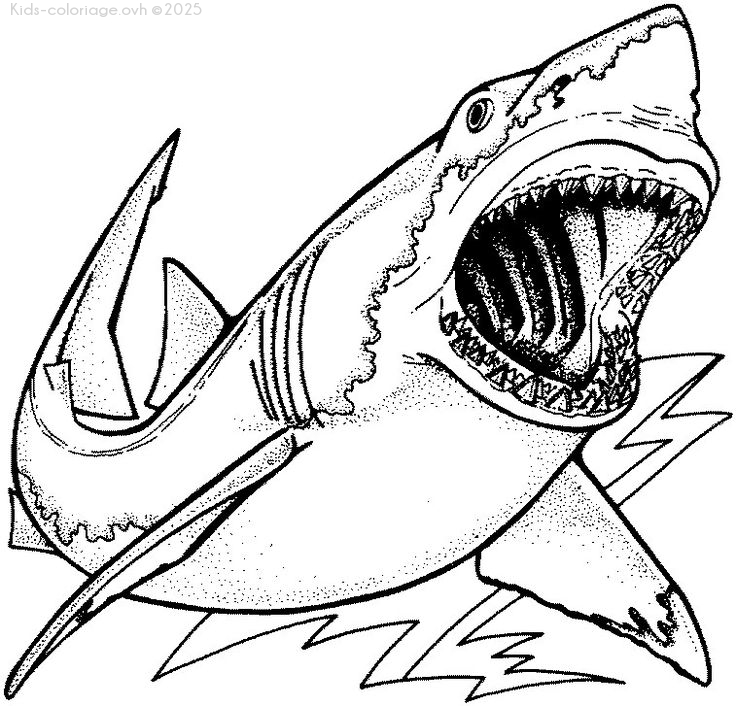 Coloriage à imprimer requin5