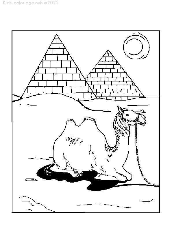 Coloriage à imprimer coloriageanimauxzoo42