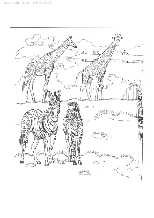 Coloriage à imprimer coloriageanimauxzoo43