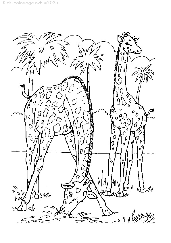 Coloriage à imprimer coloriageanimauxzoo50