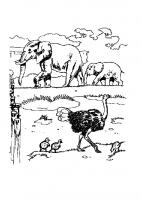  dessin dessin coloriage-animaux-zoo-2