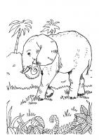  coloriage coloriage-animaux-zoo-21