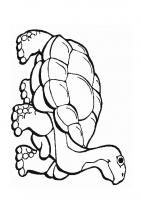  coloriage coloriage-animaux-zoo-26