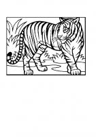  dessin à colorier coloriage-animaux-zoo-46