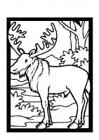  coloriage coloriage-animaux-zoo-53
